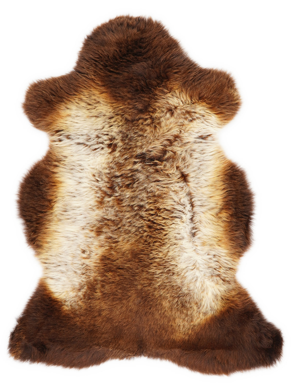 Peau de mouton multicolore britannique d’environ 100 × 60 cm, vue de dessus : exactement la peau que vous recevez
