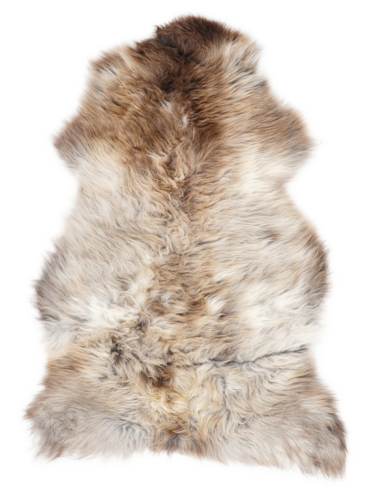 Peau de mouton multicolore britannique d’environ 120 × 75 cm, vue de dessus : exactement la peau que vous recevez