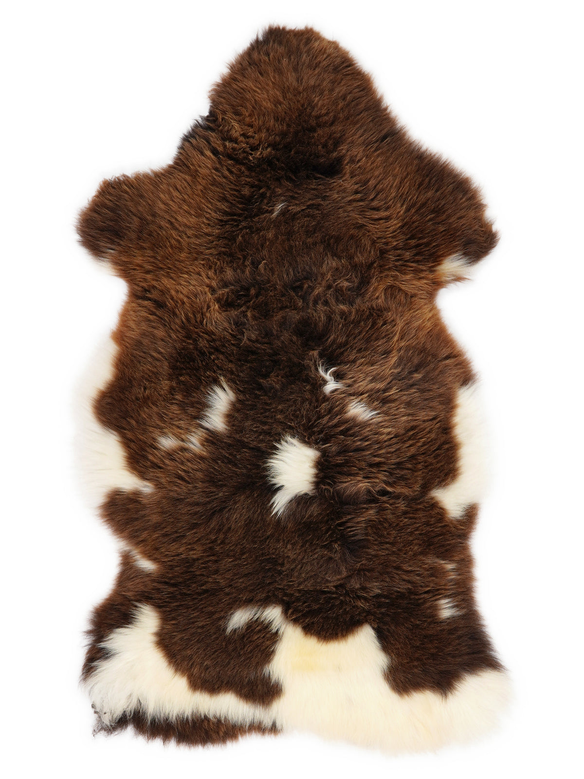 Peau de mouton multicolore britannique d’environ 105 × 60 cm, vue de dessus : exactement la peau que vous recevez