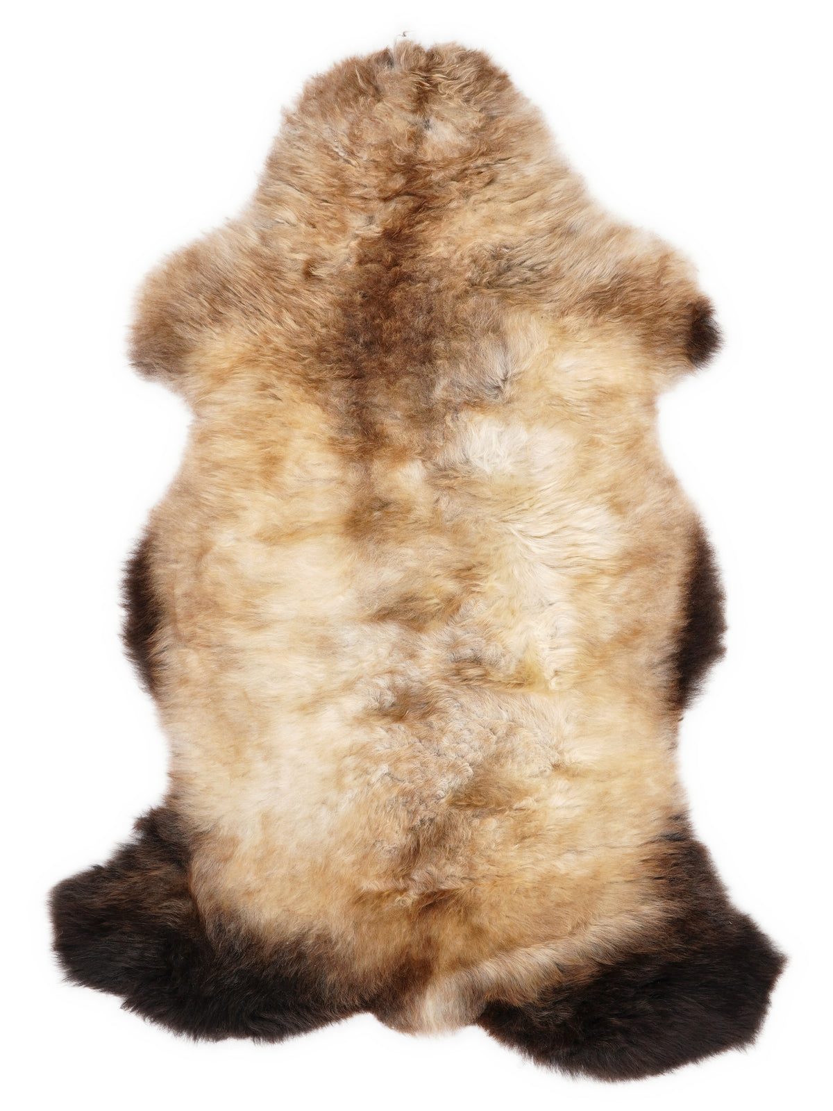 Peau de mouton multicolore britannique d’environ 100 × 60 cm, vue de dessus : exactement la peau que vous recevez