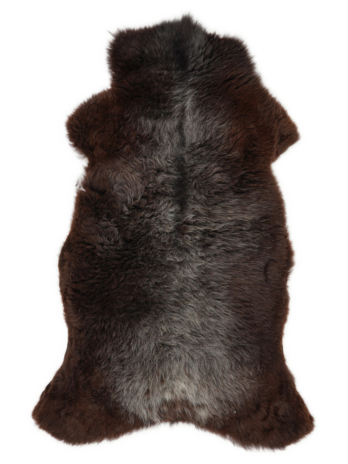 Peau de mouton multicolore britannique d’environ 125 × 65 cm, vue de dessus : exactement la peau que vous recevez