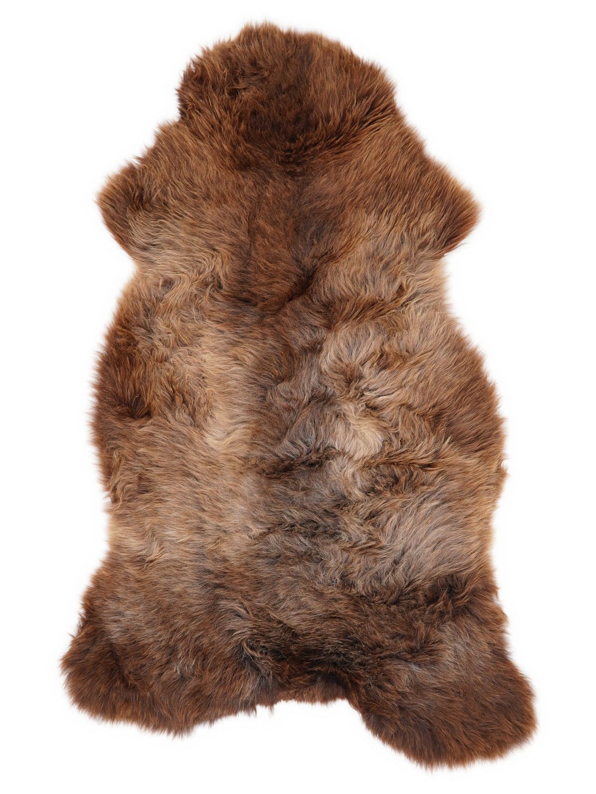 Peau de mouton multicolore britannique d’environ 130 × 65 cm, vue de dessus : exactement la peau que vous recevez
