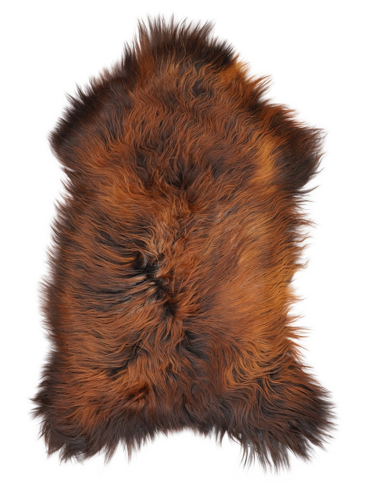 Peau de mouton islandaise multicolore d’environ 120 × 65 cm, vue de dessus : exactement la peau que vous recevez
