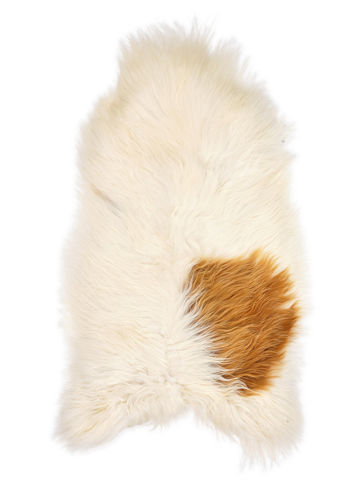 Peau de mouton islandaise multicolore d’environ 130 × 70 cm, vue de dessus : exactement la peau que vous recevez