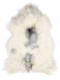 Peau de mouton islandaise multicolore d’environ 120 × 80 cm, vue de dessus : exactement la peau que vous recevez