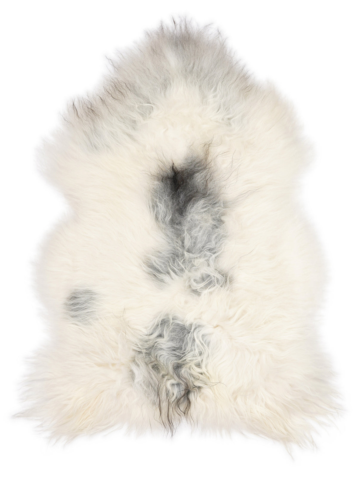 Peau de mouton islandaise multicolore d’environ 120 × 80 cm, vue de dessus : exactement la peau que vous recevez