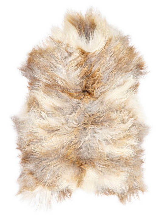 Peau de mouton islandaise multicolore d’environ 120 × 75 cm, vue de dessus : exactement la peau que vous recevez