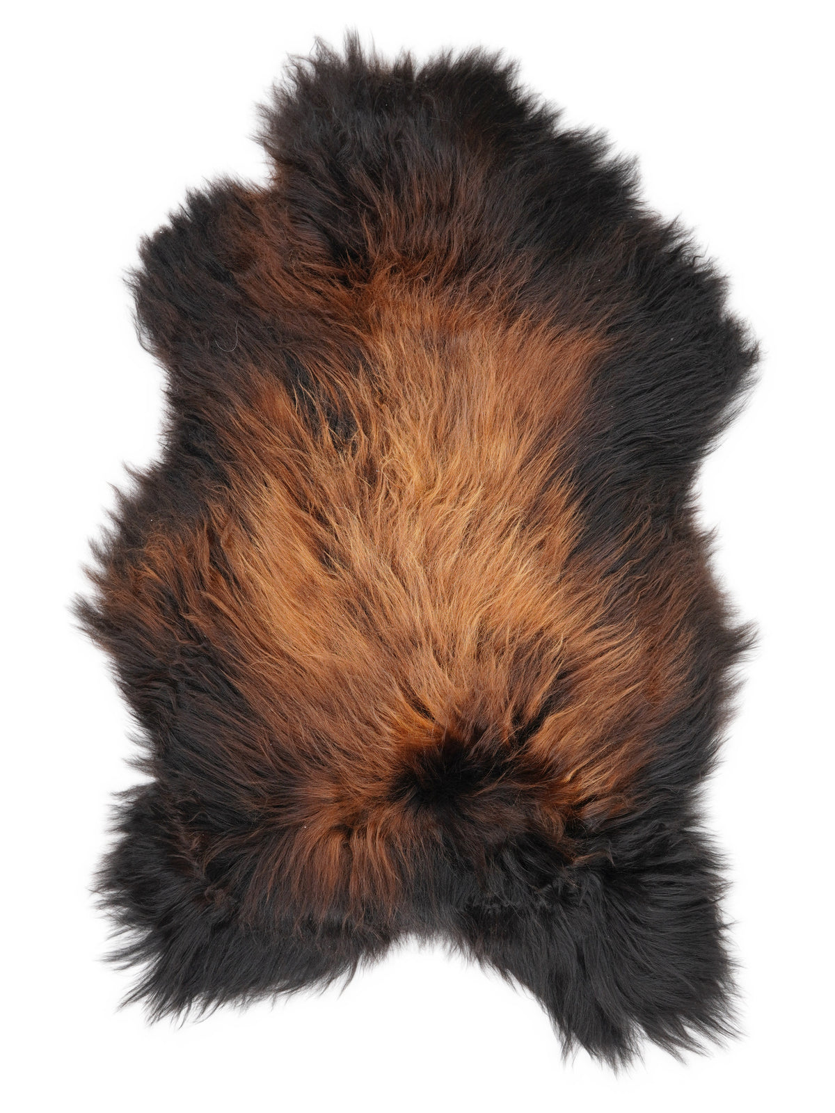 Peau de mouton islandaise multicolore d’environ 120 × 70 cm, vue de dessus : exactement la peau que vous recevez