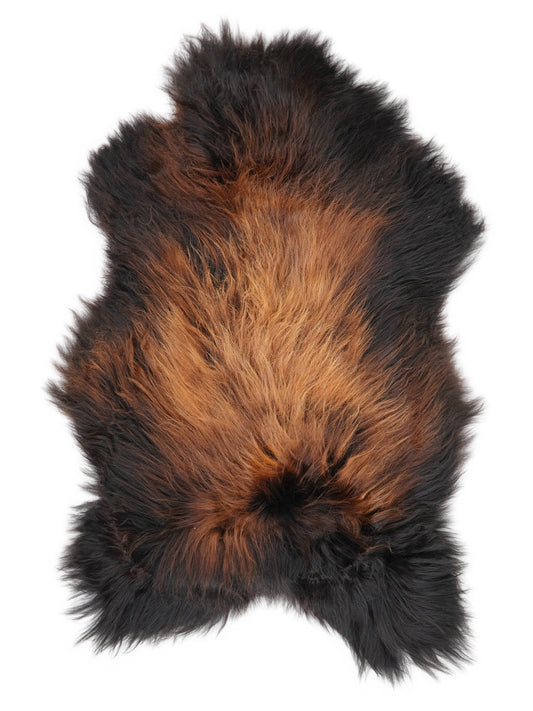 Peau de mouton islandaise multicolore d’environ 120 × 70 cm, vue de dessus : exactement la peau que vous recevez