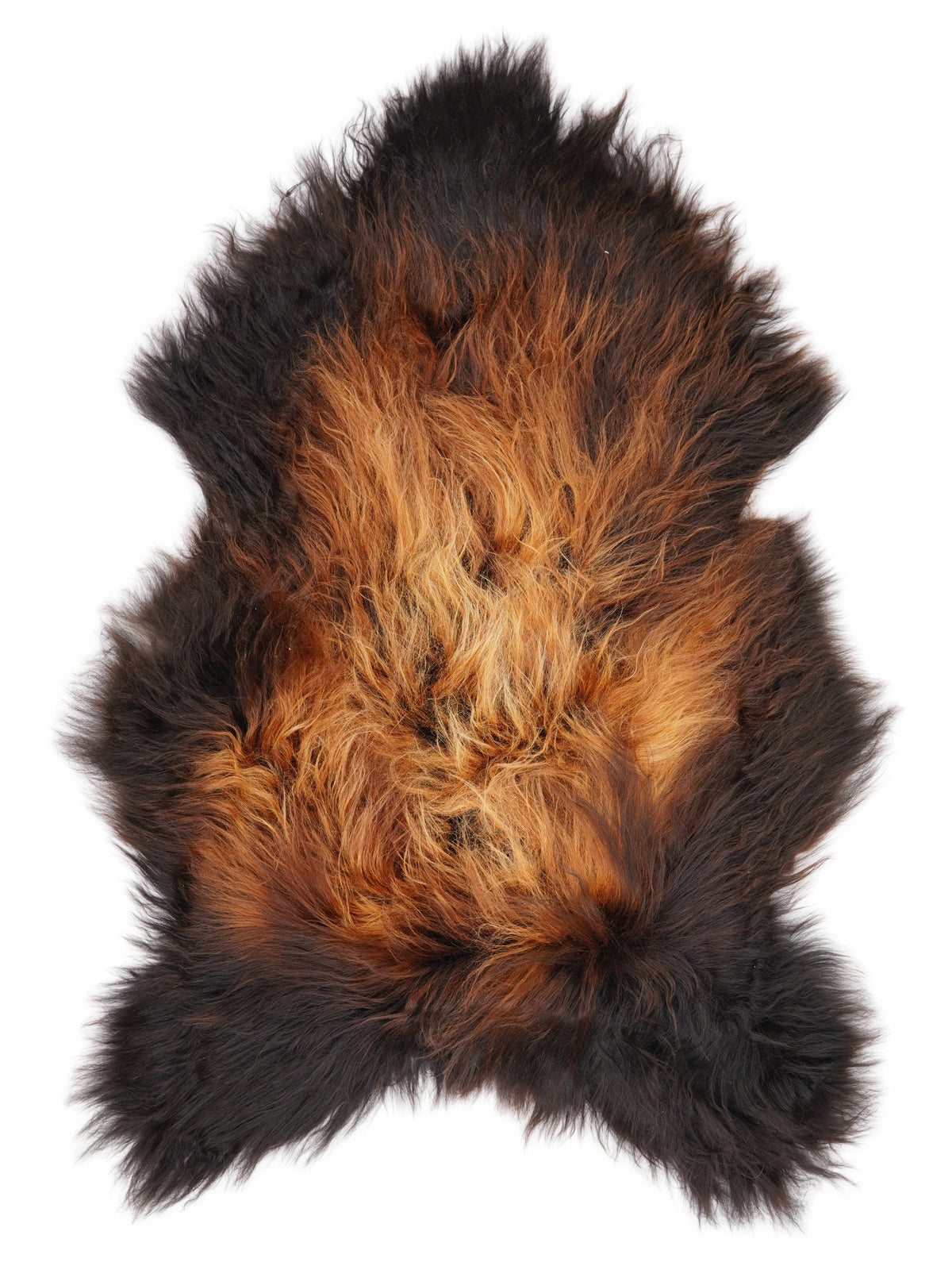 Peau de mouton islandaise multicolore d’environ 130 × 80 cm, vue de dessus : exactement la peau que vous recevez