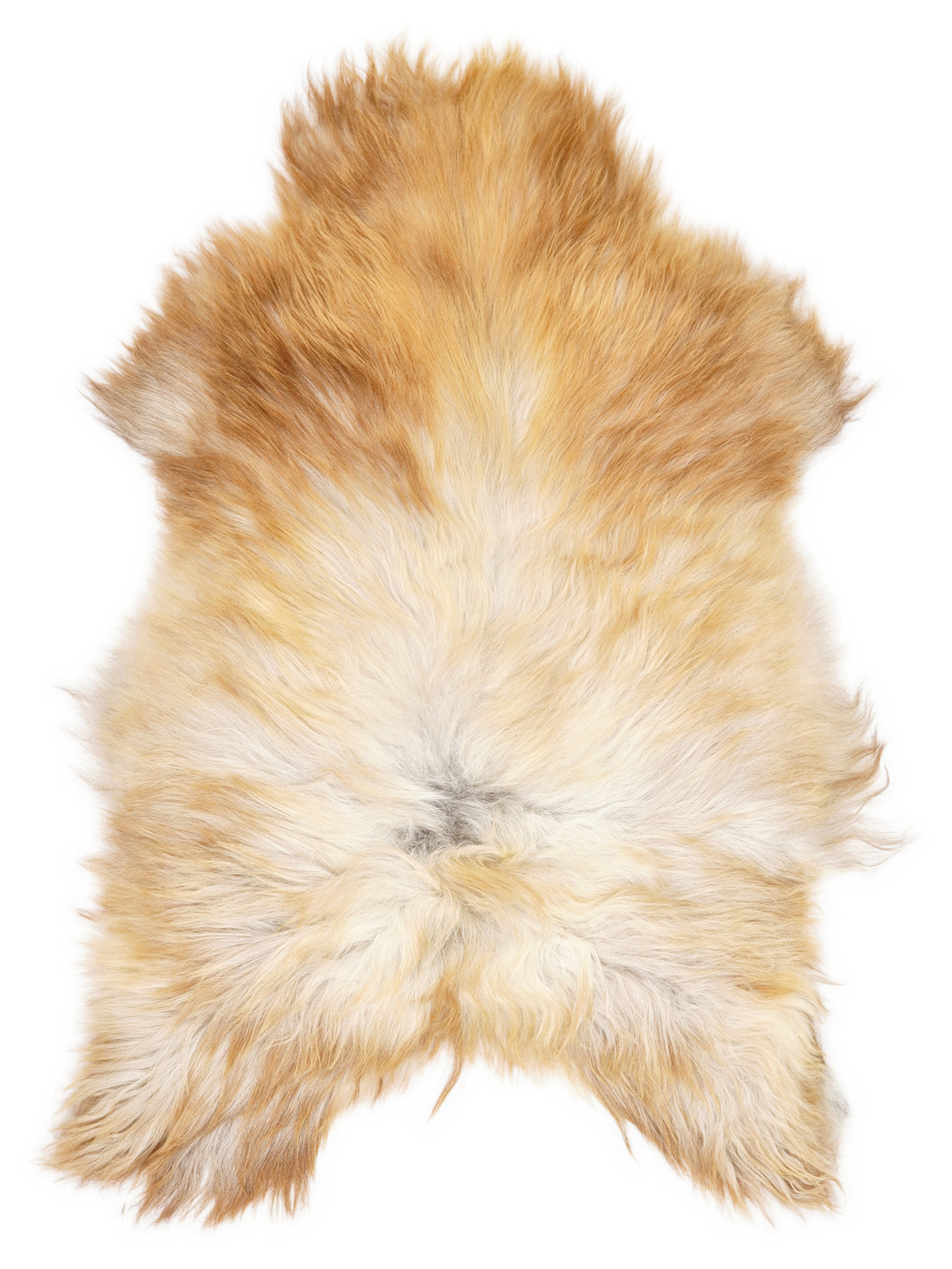 Peau de mouton islandaise multicolore d’environ 120 × 80 cm, vue de dessus : exactement la peau que vous recevez