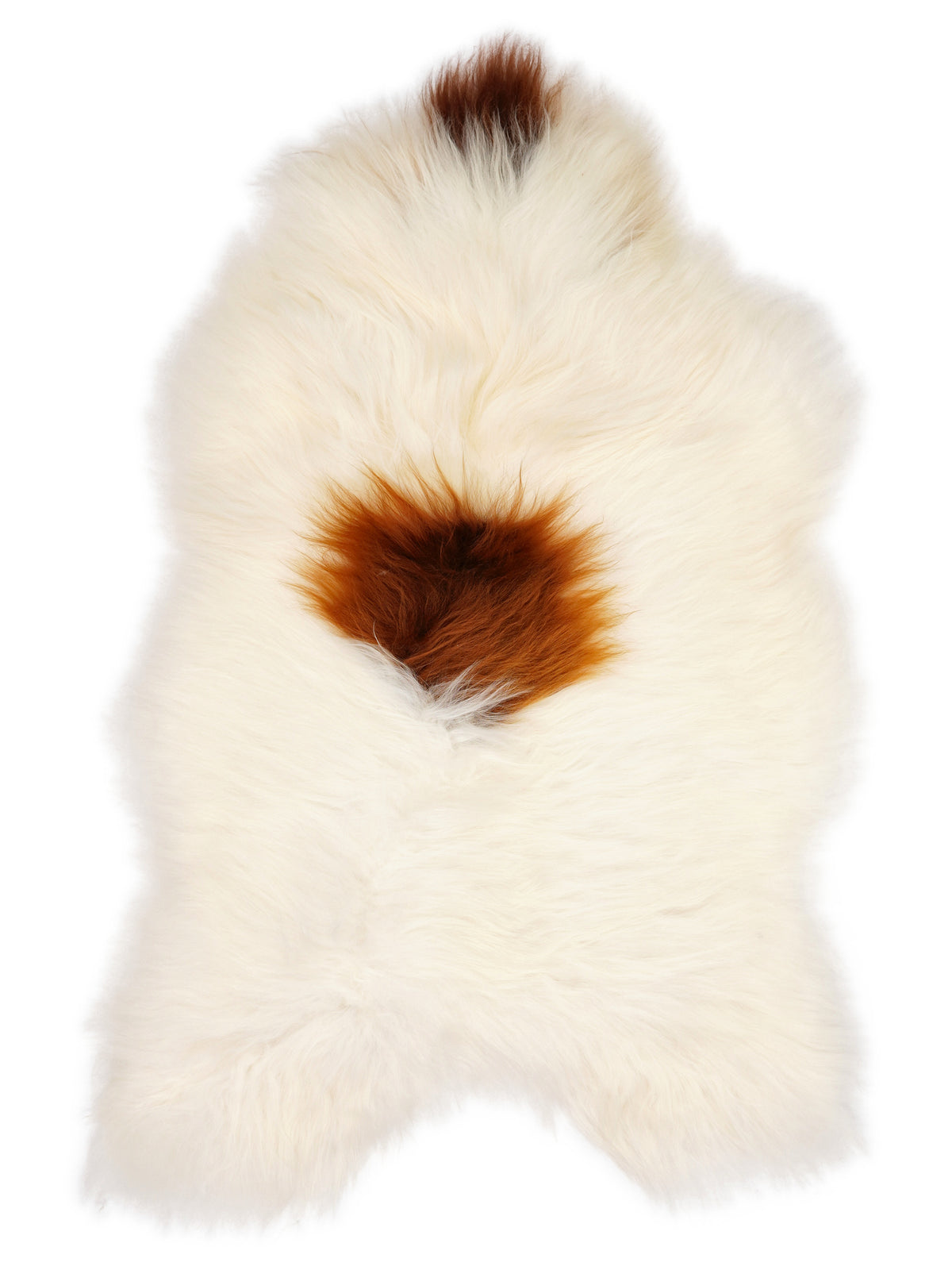 Peau de mouton islandaise multicolore d’environ 130 × 80 cm, vue de dessus : exactement la peau que vous recevez