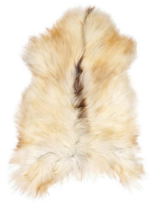 Peau de mouton islandaise multicolore d’environ 120 × 75 cm, vue de dessus : exactement la peau que vous recevez