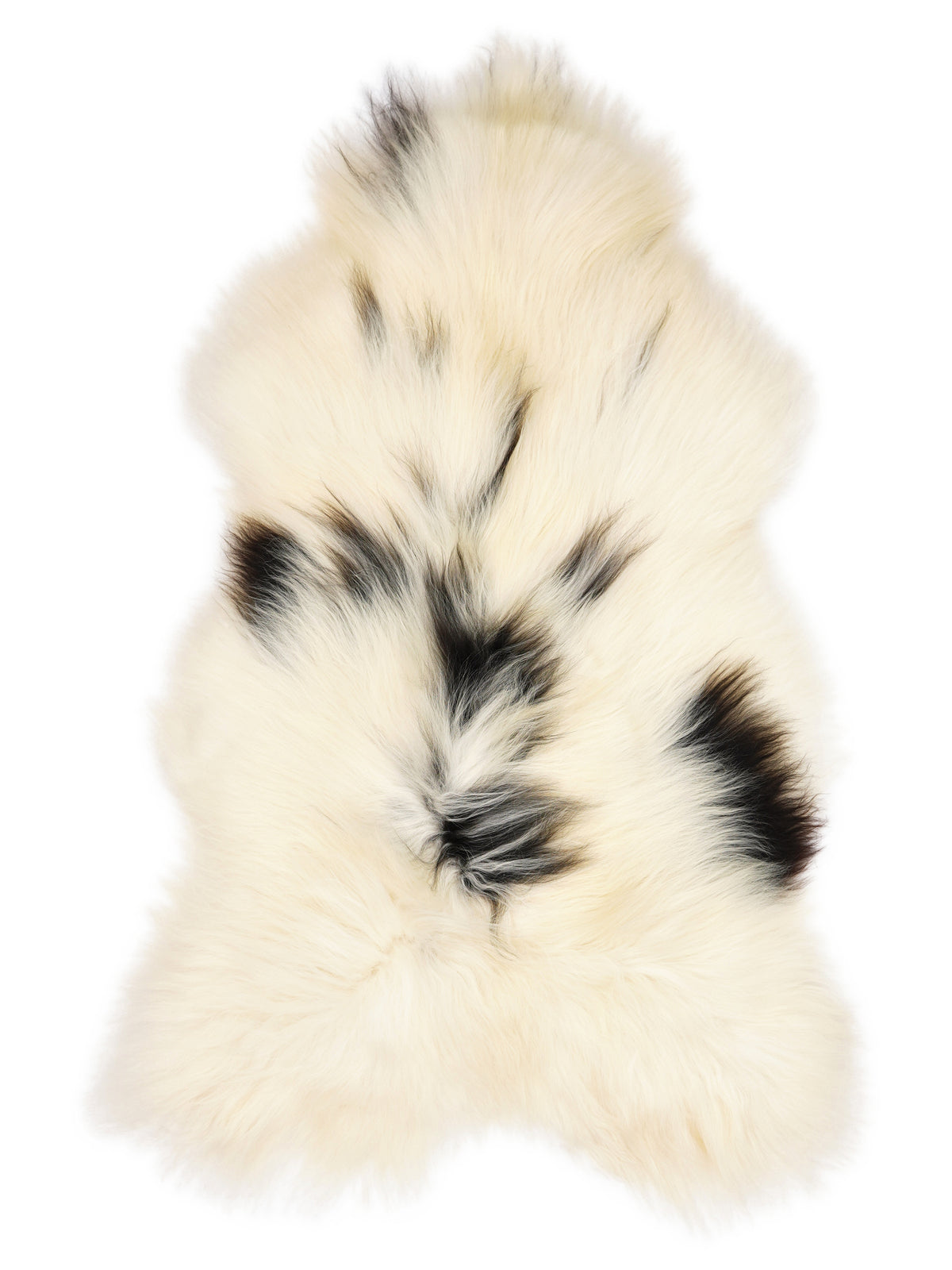 Peau de mouton islandaise multicolore d’environ 130 × 70 cm, vue de dessus : exactement la peau que vous recevez
