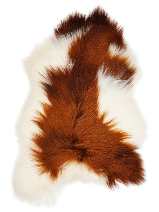 Peau de mouton islandaise multicolore d’environ 125 × 85 cm, vue de dessus : exactement la peau que vous recevez