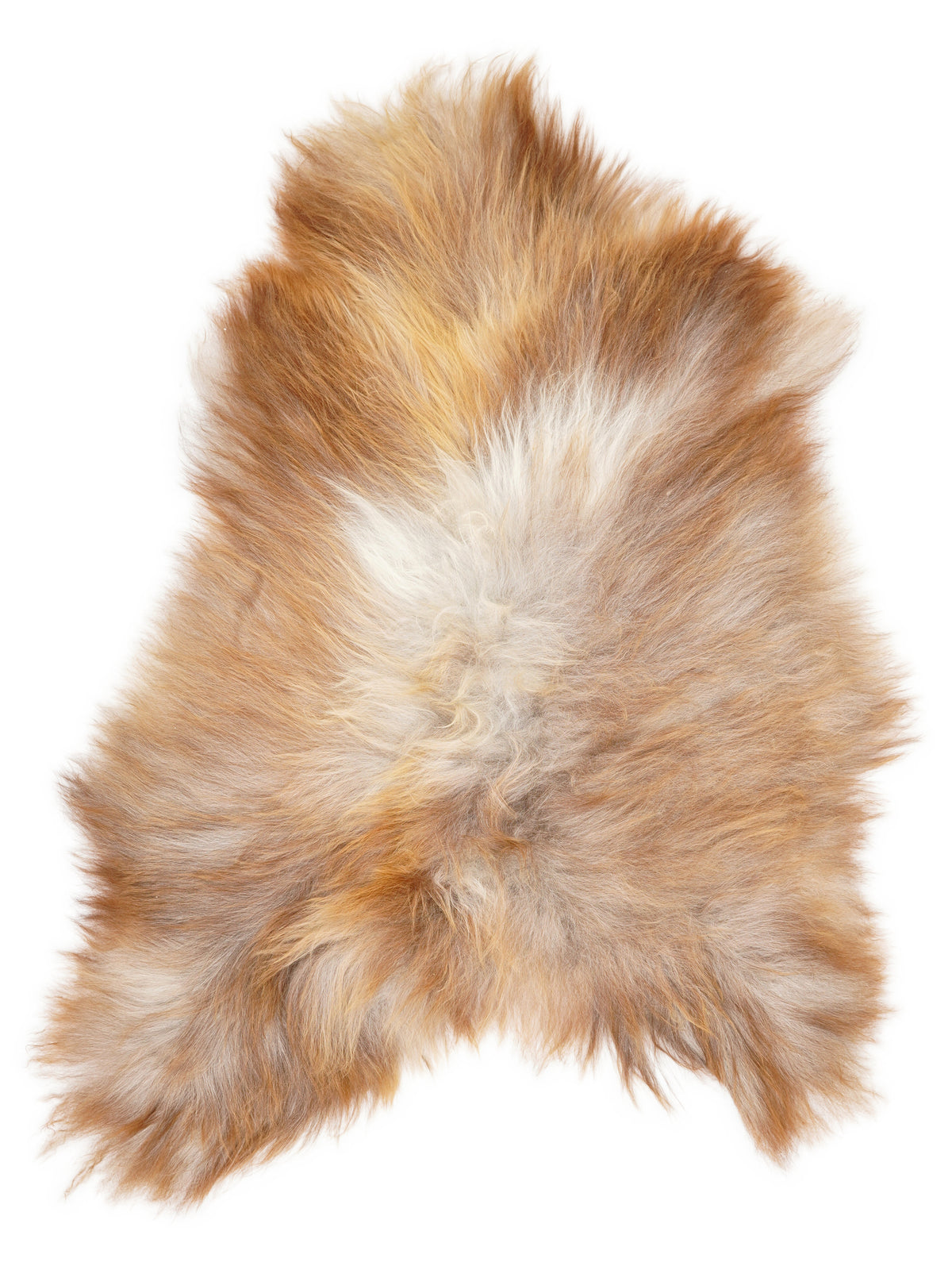Peau de mouton islandaise multicolore d’environ 120 × 80 cm, vue de dessus : exactement la peau que vous recevez