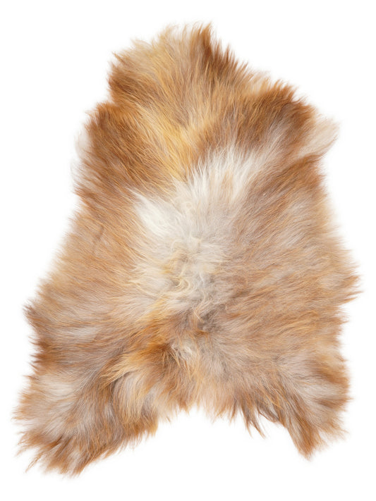Peau de mouton islandaise multicolore d’environ 120 × 80 cm, vue de dessus : exactement la peau que vous recevez