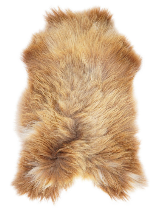 Peau de mouton islandaise multicolore d’environ 120 × 75 cm, vue de dessus : exactement la peau que vous recevez