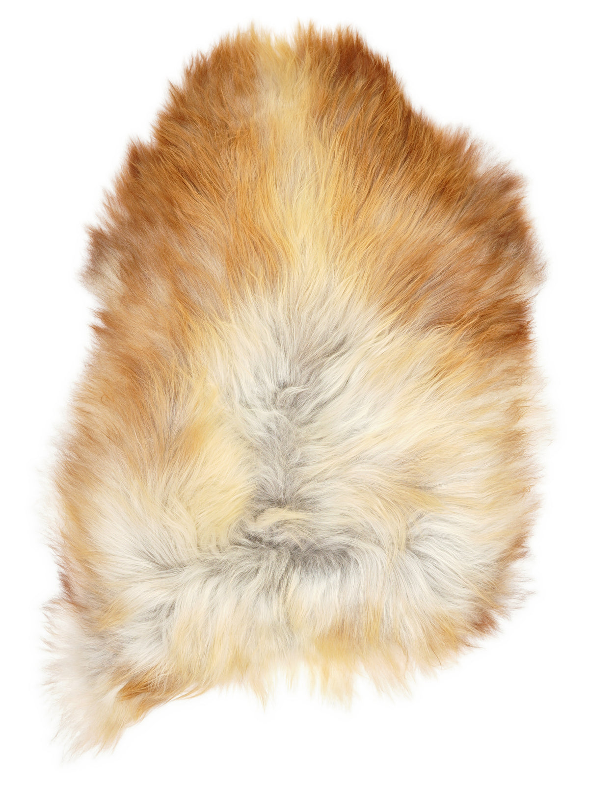 Peau de mouton islandaise multicolore d’environ 120 × 80 cm, vue de dessus : exactement la peau que vous recevez