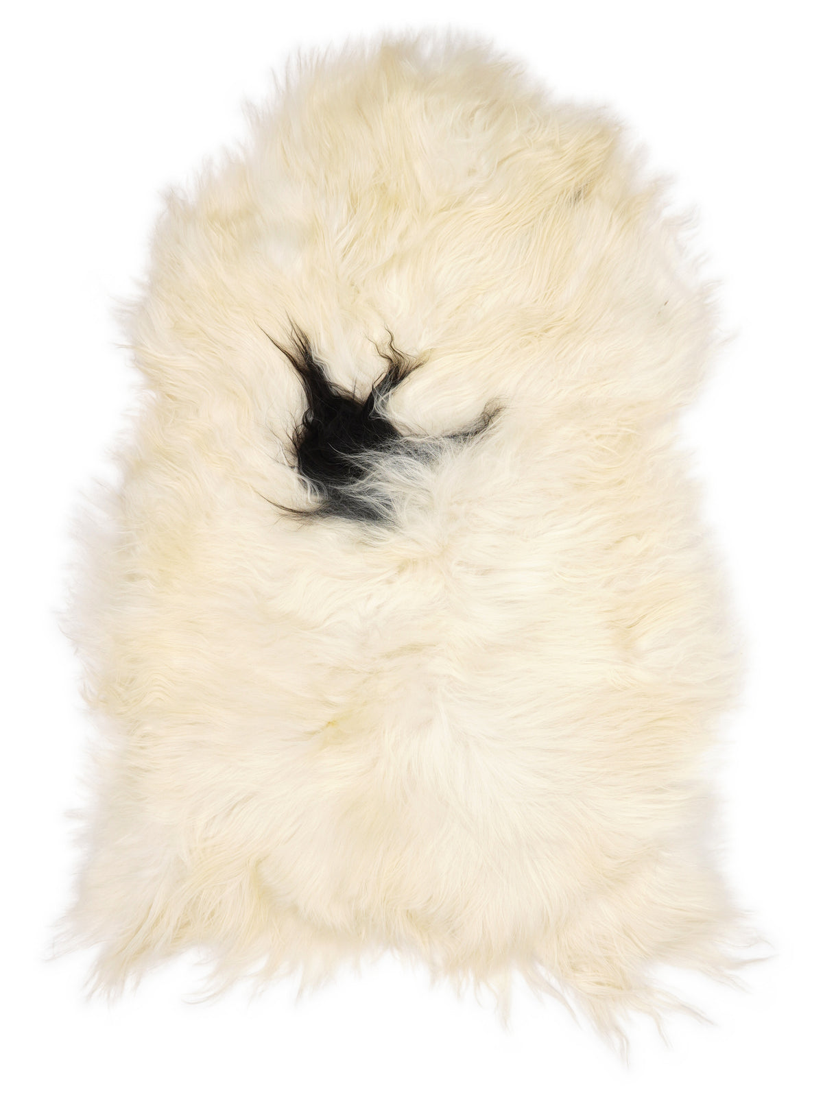 Peau de mouton islandaise multicolore d’environ 120 × 80 cm, vue de dessus : exactement la peau que vous recevez