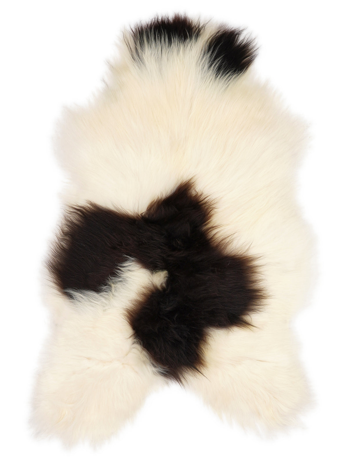 Peau de mouton islandaise multicolore d’environ 110 × 70 cm, vue de dessus : exactement la peau que vous recevez