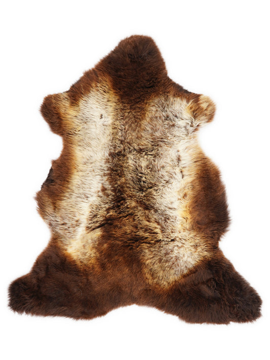Peau de mouton multicolore britannique d’environ 100 × 60 cm, vue de dessus : exactement la peau que vous recevez