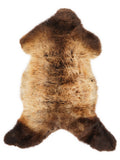 Peau de mouton multicolore britannique d’environ 110 × 55 cm, vue de dessus : exactement la peau que vous recevez