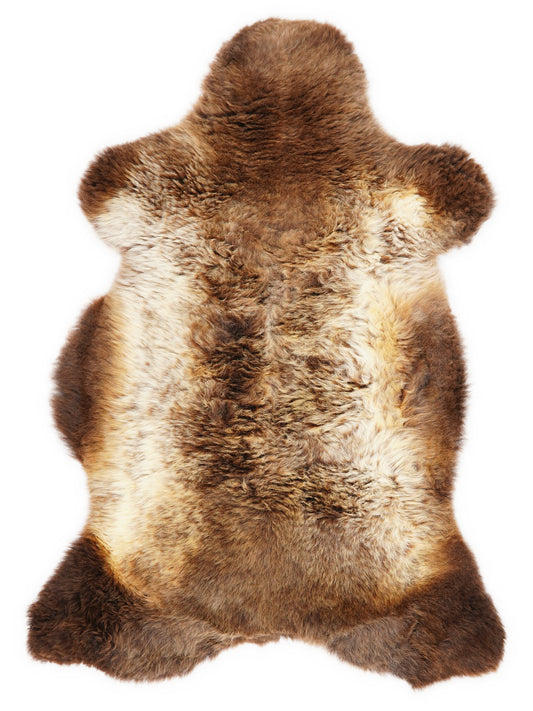 Peau de mouton multicolore britannique d’environ 105 × 60 cm, vue de dessus : exactement la peau que vous recevez