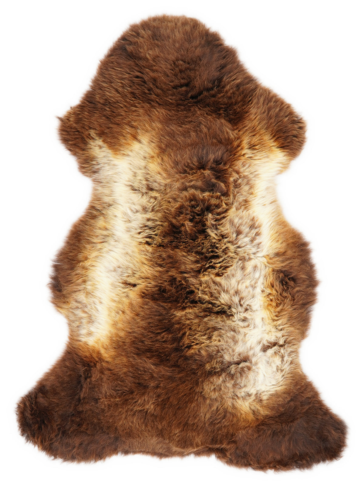 Peau de mouton multicolore britannique d’environ 115 × 65 cm, vue de dessus : exactement la peau que vous recevez