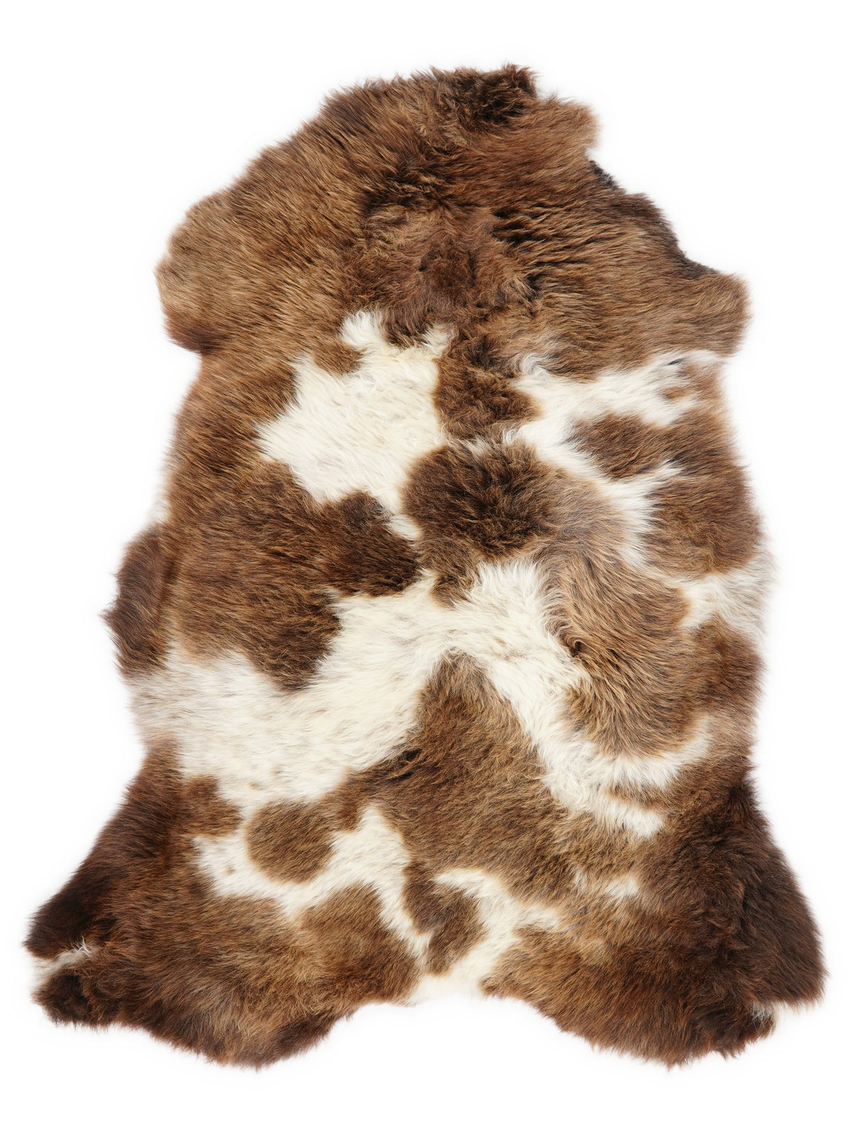 Peau de mouton multicolore britannique d’environ 100 × 60 cm, vue de dessus : exactement la peau que vous recevez