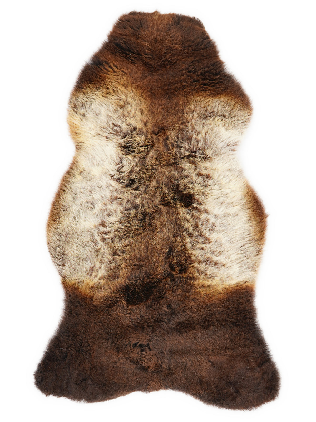Peau de mouton multicolore britannique d’environ 105 × 55 cm, vue de dessus : exactement la peau que vous recevez