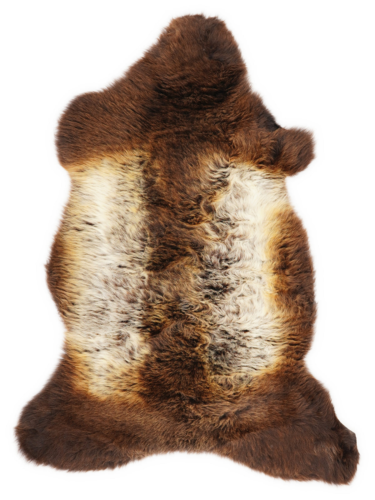 Peau de mouton multicolore britannique d’environ 110 × 55 cm, vue de dessus : exactement la peau que vous recevez