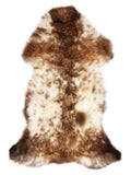 Peau de mouton multicolore britannique d’environ 110 × 55 cm, vue de dessus : exactement la peau que vous recevez