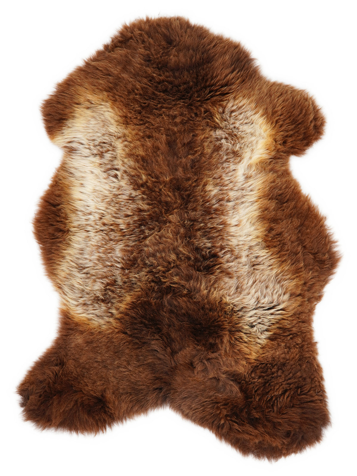 Peau de mouton multicolore britannique d’environ 115 × 65 cm, vue de dessus : exactement la peau que vous recevez
