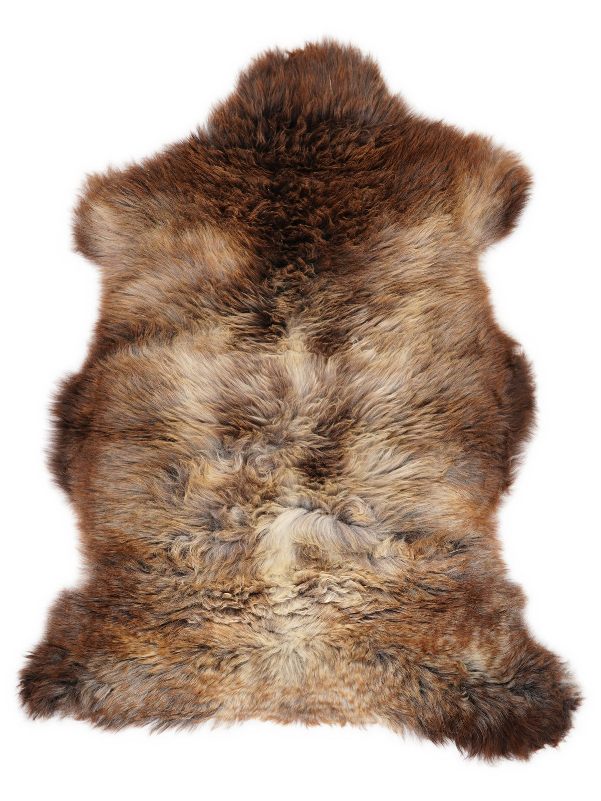 Peau de mouton multicolore britannique d’environ 110 × 70 cm, vue de dessus : exactement la peau que vous recevez