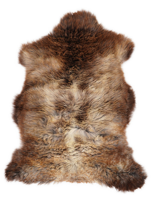 Peau de mouton multicolore britannique d’environ 110 × 70 cm, vue de dessus : exactement la peau que vous recevez