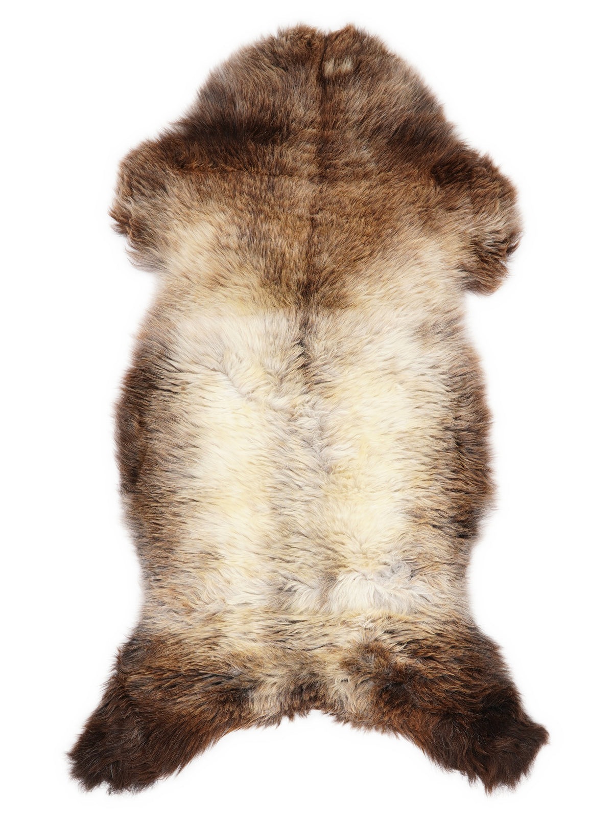 Peau de mouton multicolore britannique d’environ 110 × 50 cm, vue de dessus : exactement la peau que vous recevez