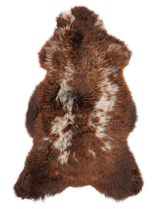 Peau de mouton multicolore britannique d’environ 120 × 65 cm, vue de dessus : exactement la peau que vous recevez
