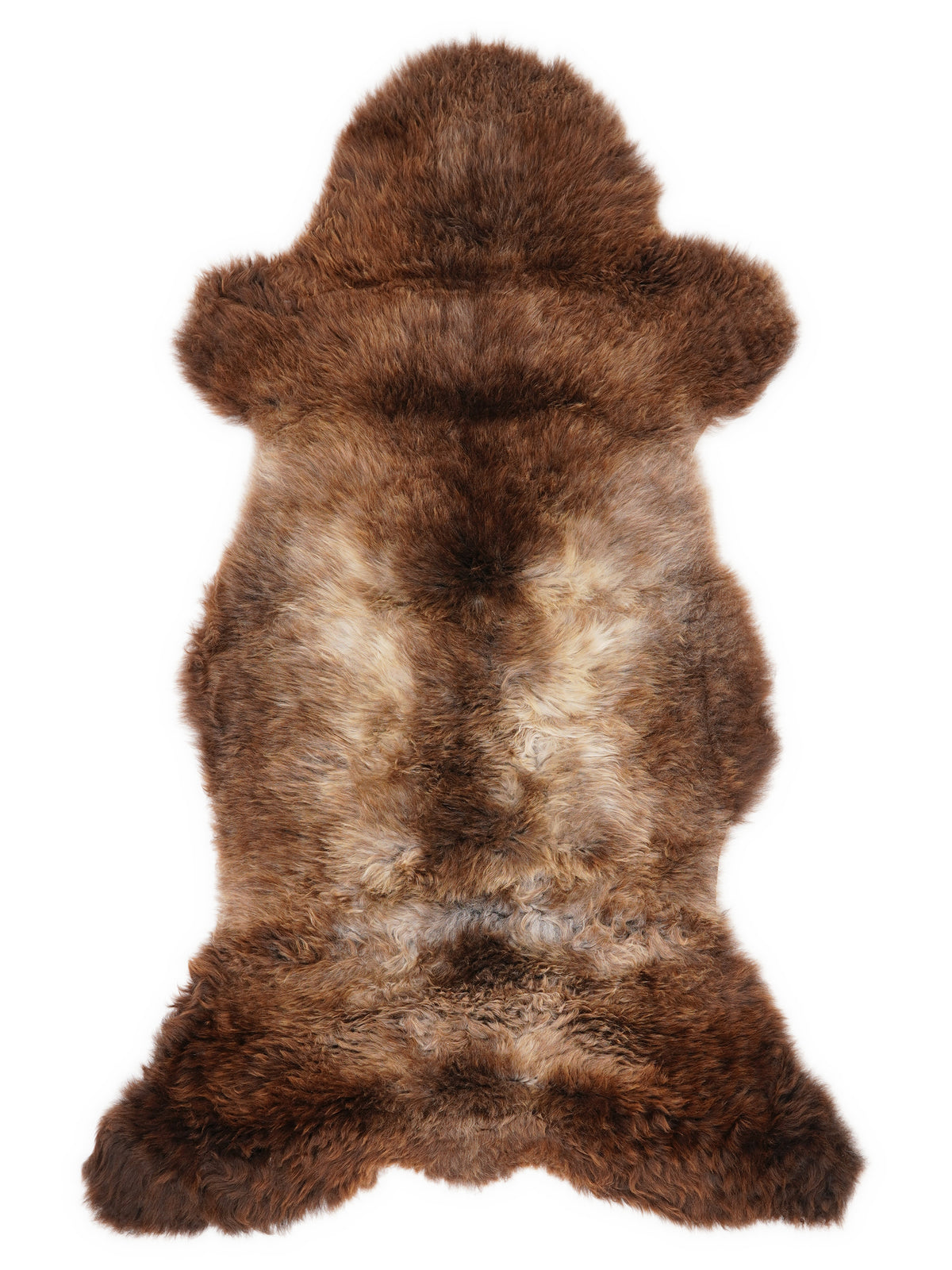 Peau de mouton multicolore britannique d’environ 115 × 50 cm, vue de dessus : exactement la peau que vous recevez
