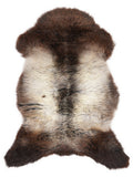 Peau de mouton multicolore britannique d’environ 110 × 65 cm, vue de dessus : exactement la peau que vous recevez