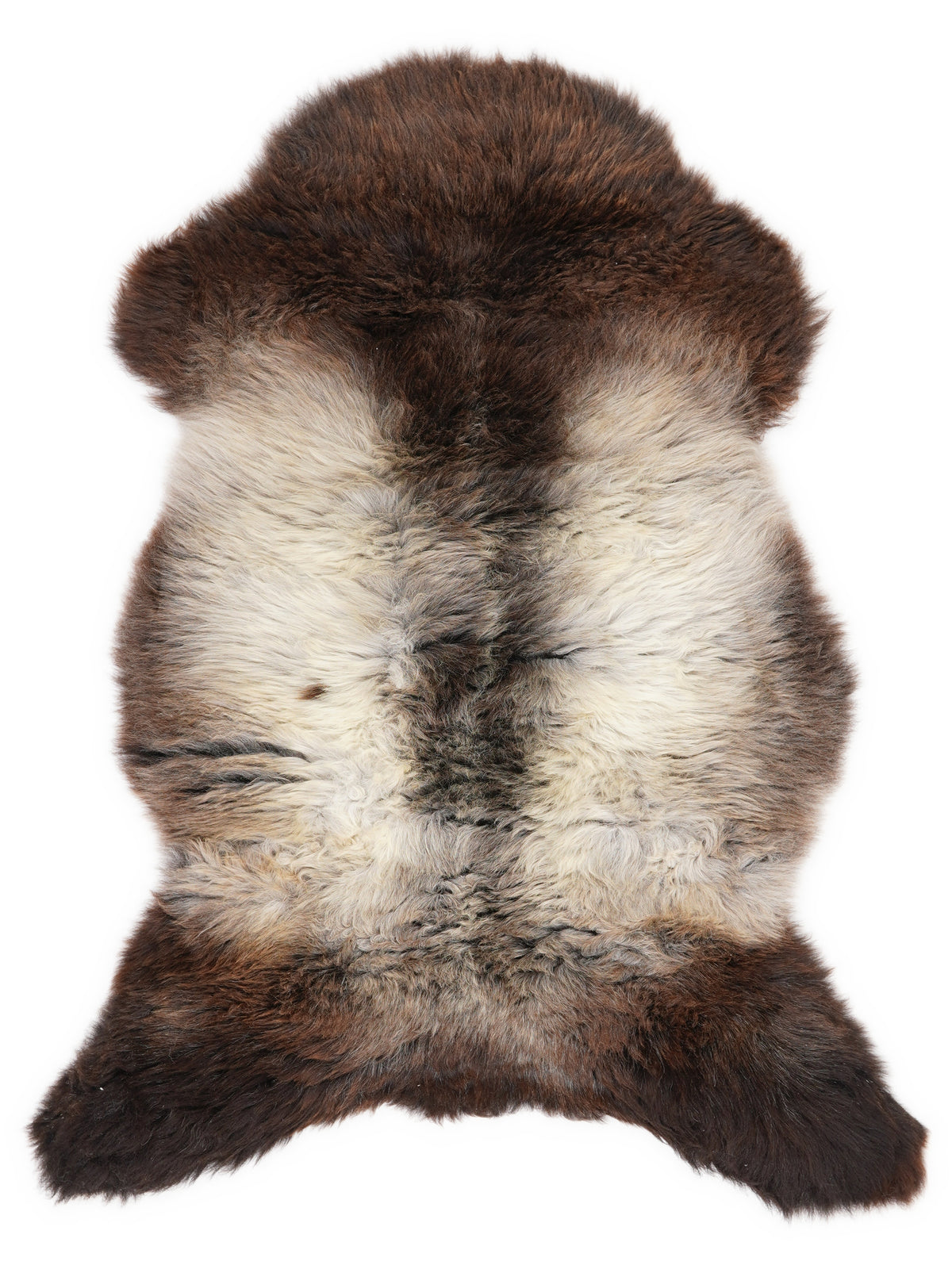 Peau de mouton multicolore britannique d’environ 110 × 65 cm, vue de dessus : exactement la peau que vous recevez