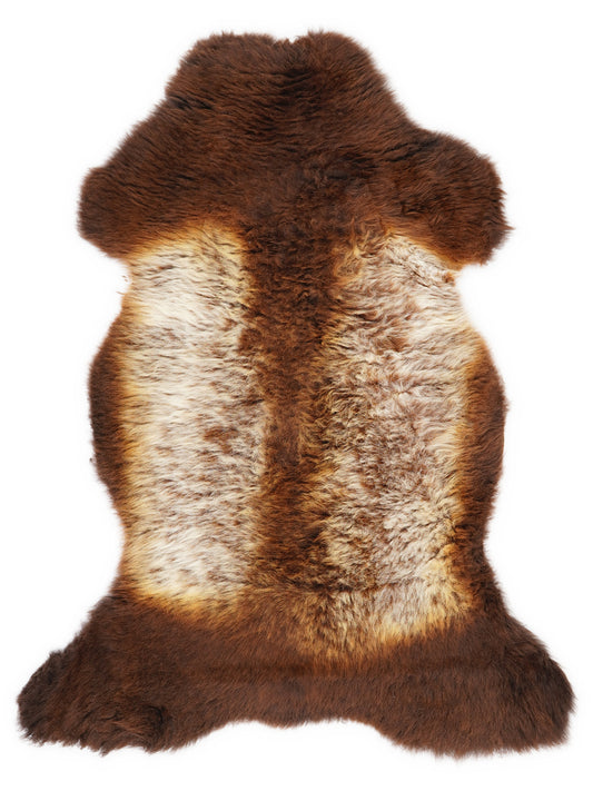 Peau de mouton multicolore britannique d’environ 110 × 60 cm, vue de dessus : exactement la peau que vous recevez