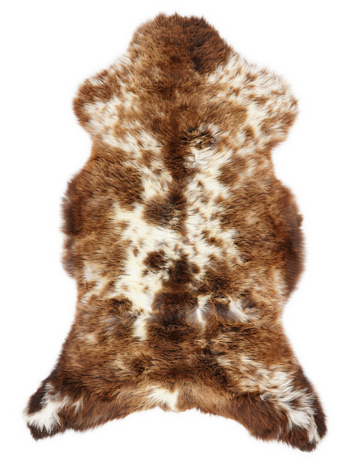 Peau de mouton multicolore britannique d’environ 120 × 60 cm, vue de dessus : exactement la peau que vous recevez