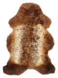 Peau de mouton multicolore britannique d’environ 110 × 70 cm, vue de dessus : exactement la peau que vous recevez