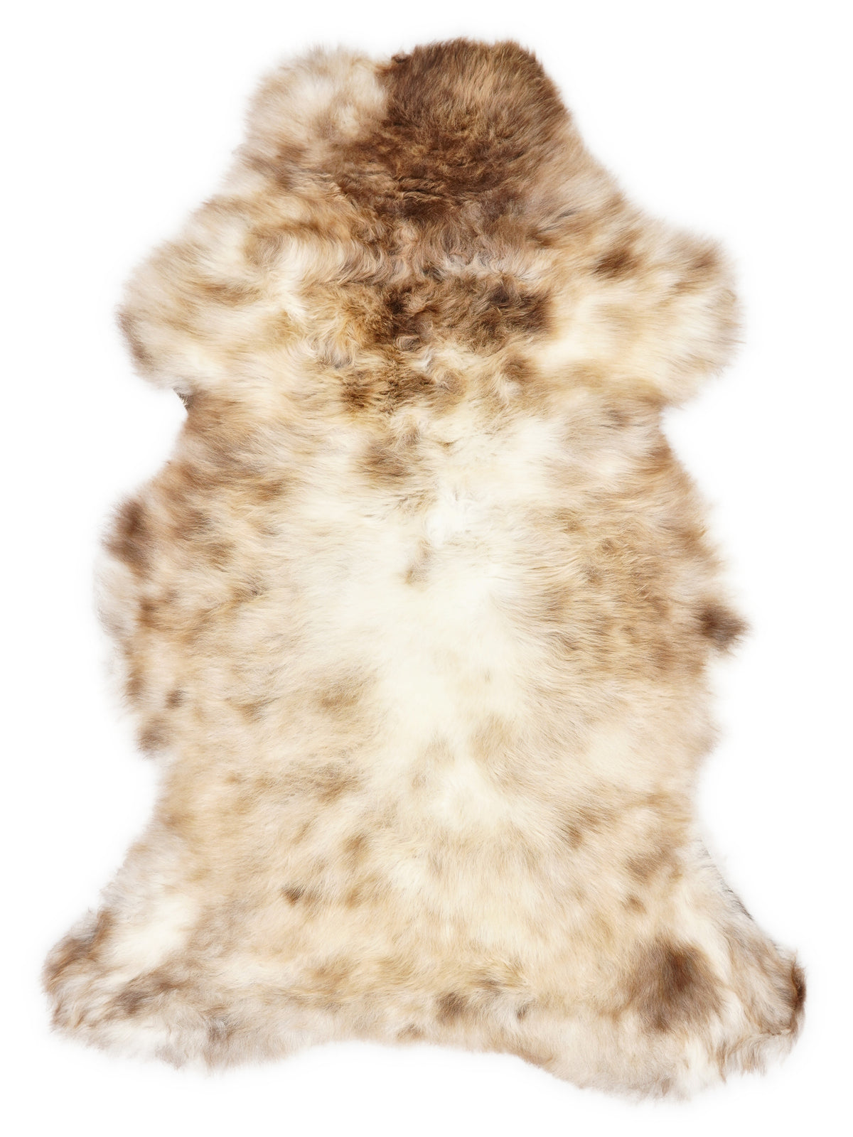 Peau de mouton multicolore britannique d’environ 110 × 65 cm, vue de dessus : exactement la peau que vous recevez