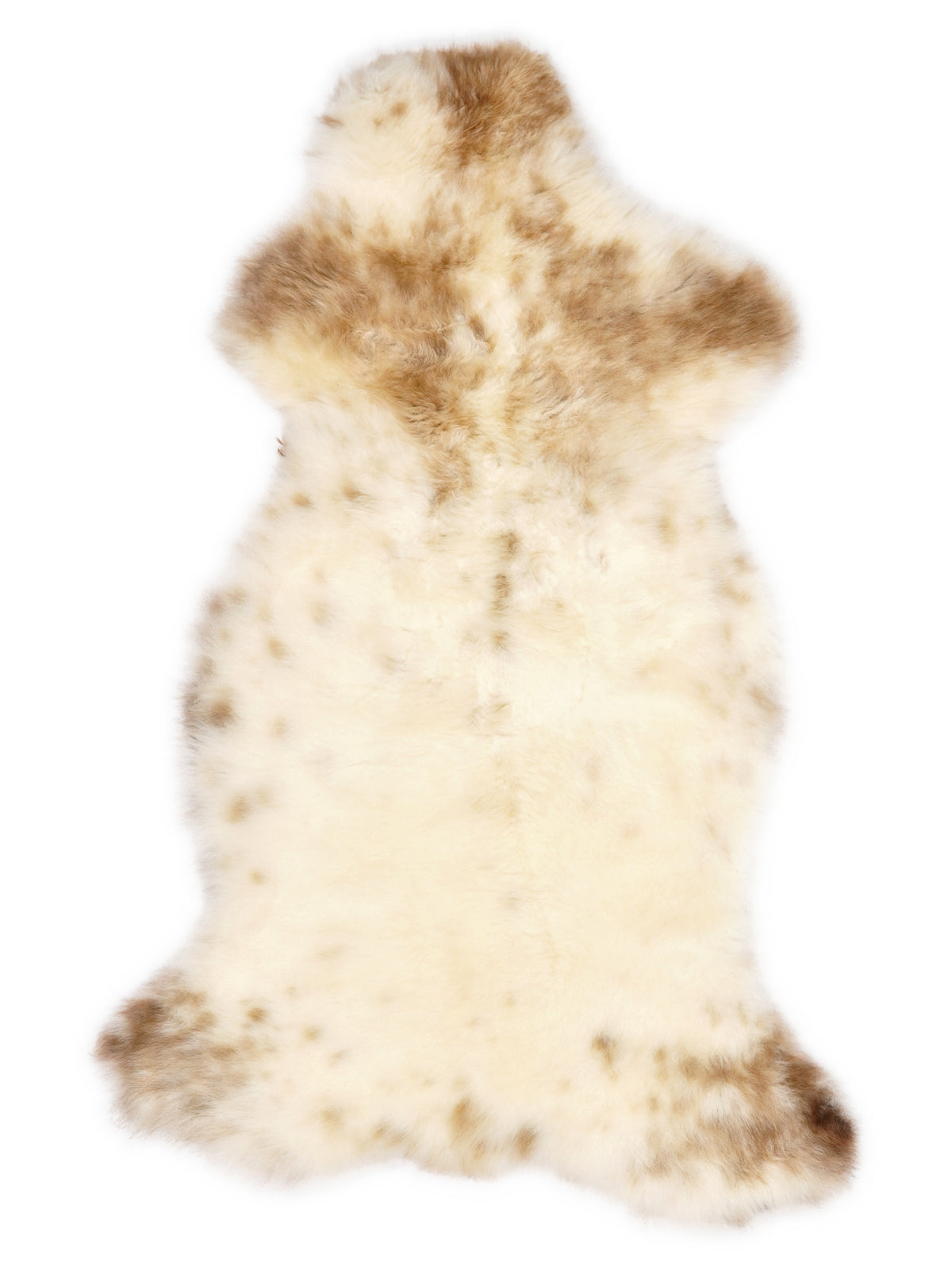 Peau de mouton multicolore britannique d’environ 115 × 55 cm, vue de dessus : exactement la peau que vous recevez