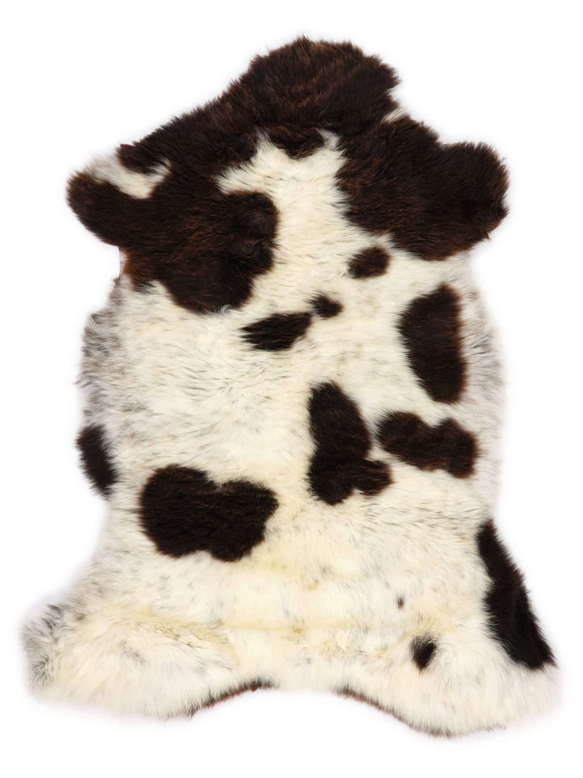 Peau de mouton multicolore britannique d’environ 105 × 60 cm, vue de dessus : exactement la peau que vous recevez