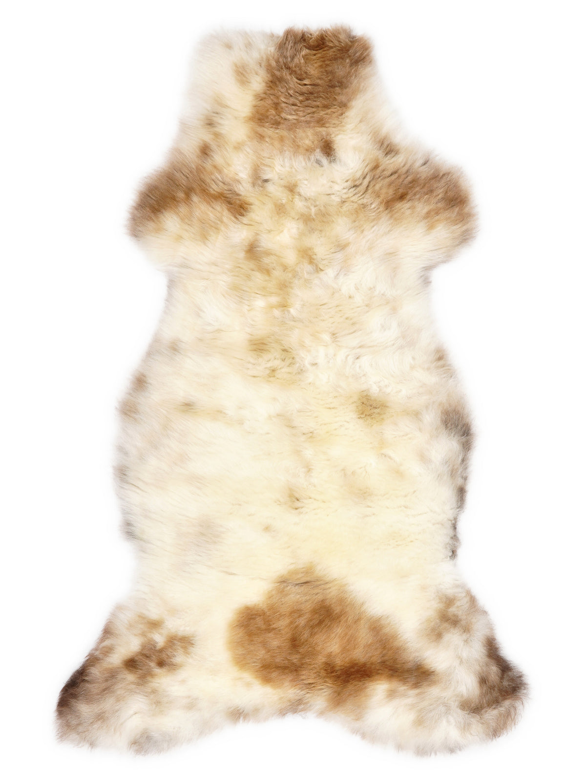 Peau de mouton multicolore britannique d’environ 110 × 50 cm, vue de dessus : exactement la peau que vous recevez