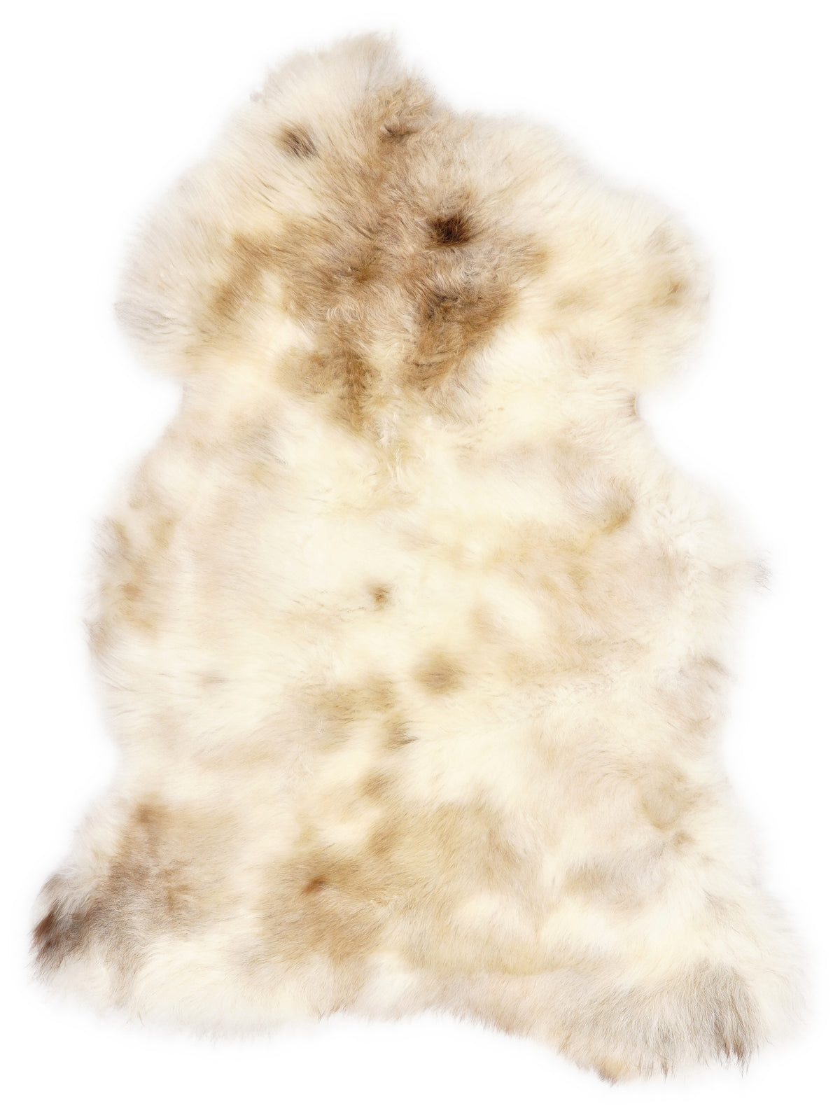 Peau de mouton multicolore britannique d’environ 105 × 60 cm, vue de dessus : exactement la peau que vous recevez