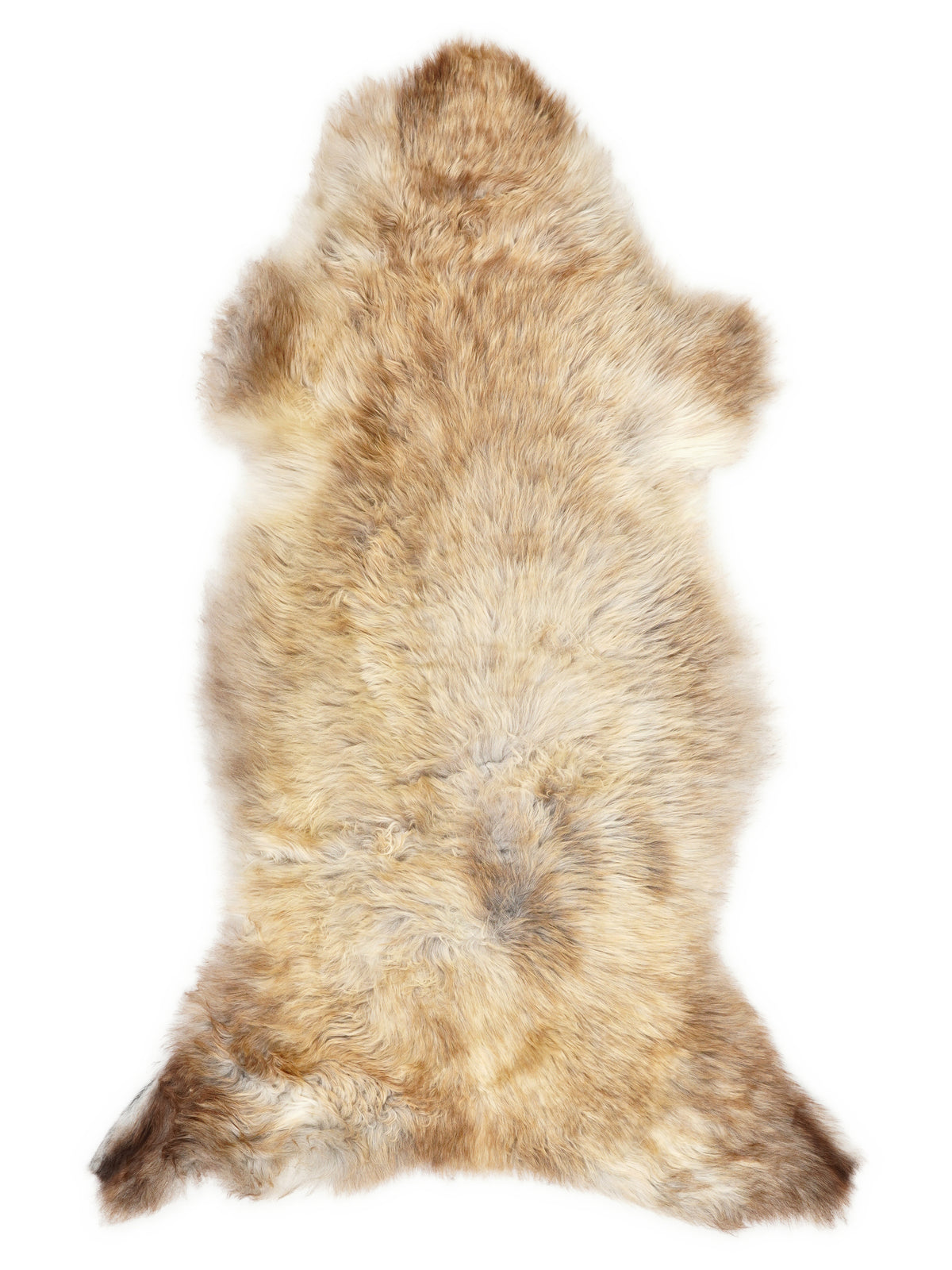 Peau de mouton multicolore britannique d’environ 125 × 60 cm, vue de dessus : exactement la peau que vous recevez